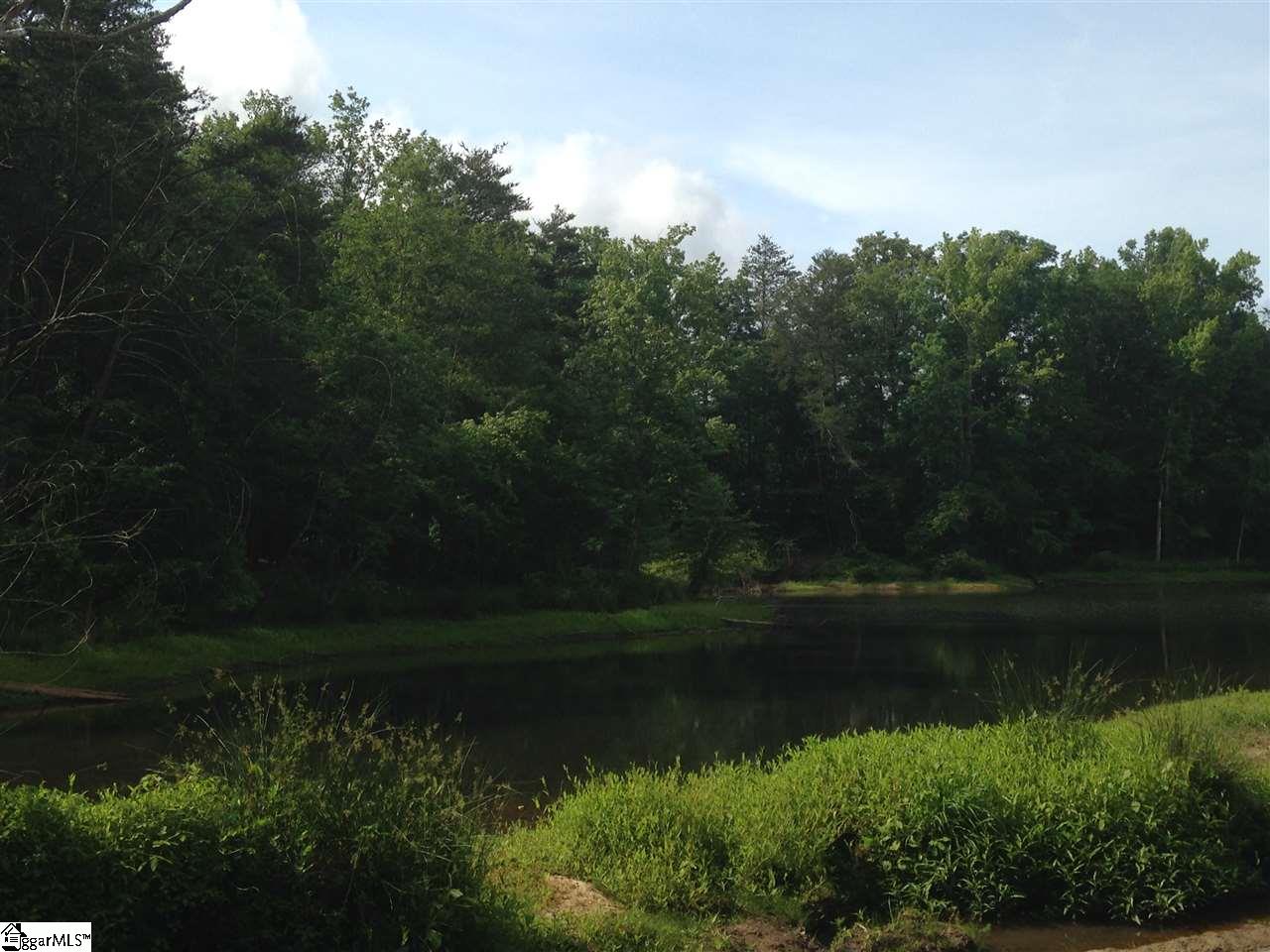 Old Georgia Road Moore, SC 29369 - Photo 23 of 24