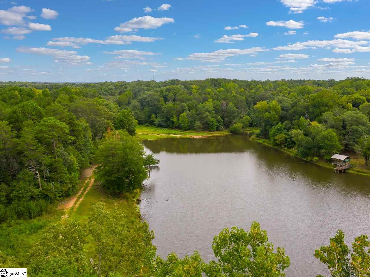 Old Georgia Road Moore, SC 29369 - Photo 4 of 24