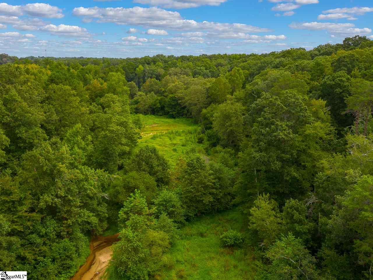 Old Georgia Road Moore, SC 29369 - Photo 6 of 24