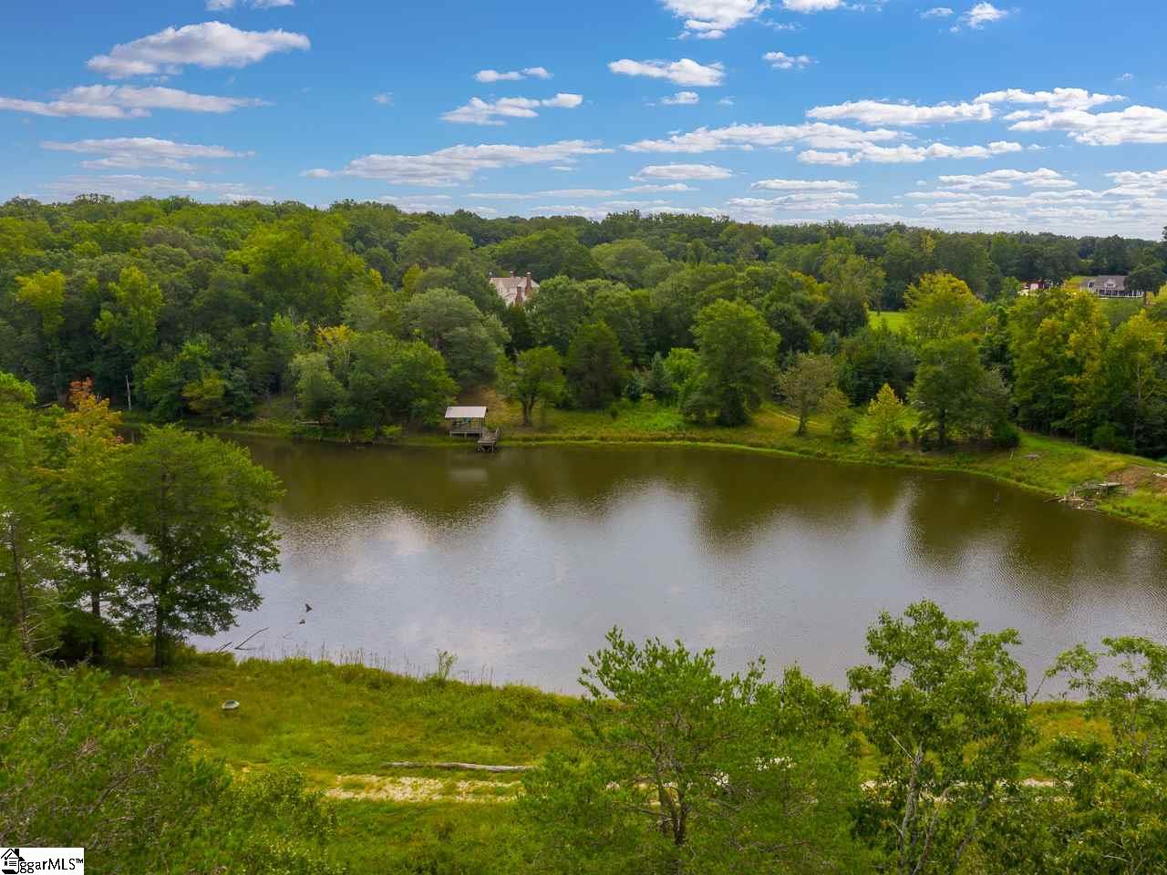 Old Georgia Road Moore, SC 29369 - Photo 8 of 24