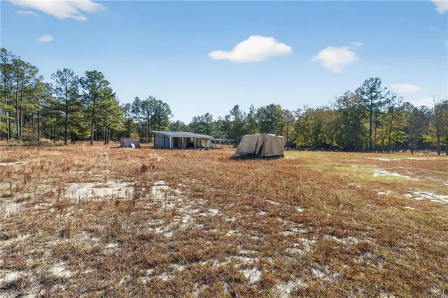 a view of a dry yard with trees