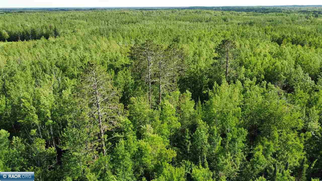 Tbd South Salmi Road Hibbing, MN 55746 - Photo 25 of 36 Gallery Image 25