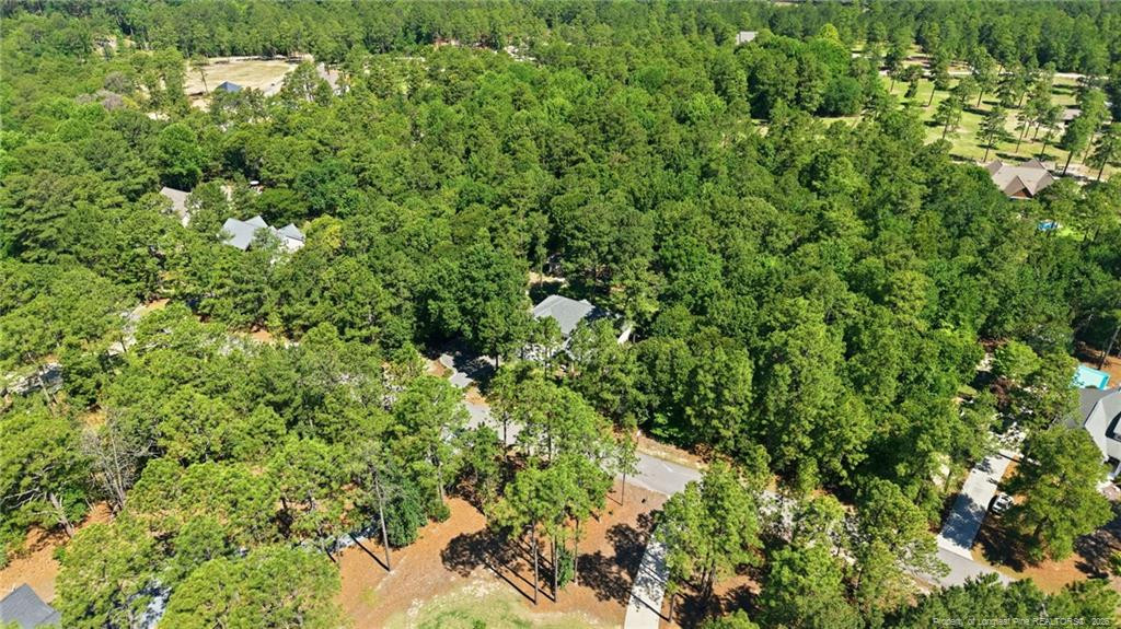 16 Ridge Road Jackson Springs, NC 27281 - Photo 49 of 50