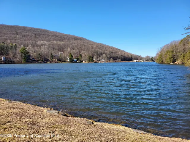 a view of a dry yard