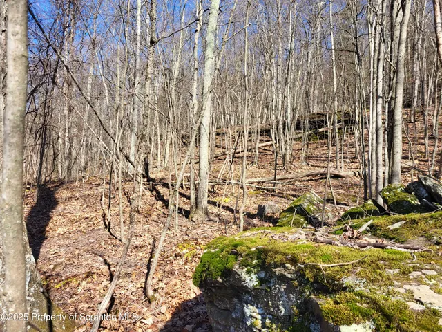 a view of building with yard