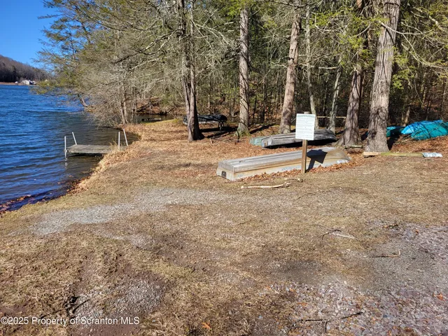 a view of park with trees