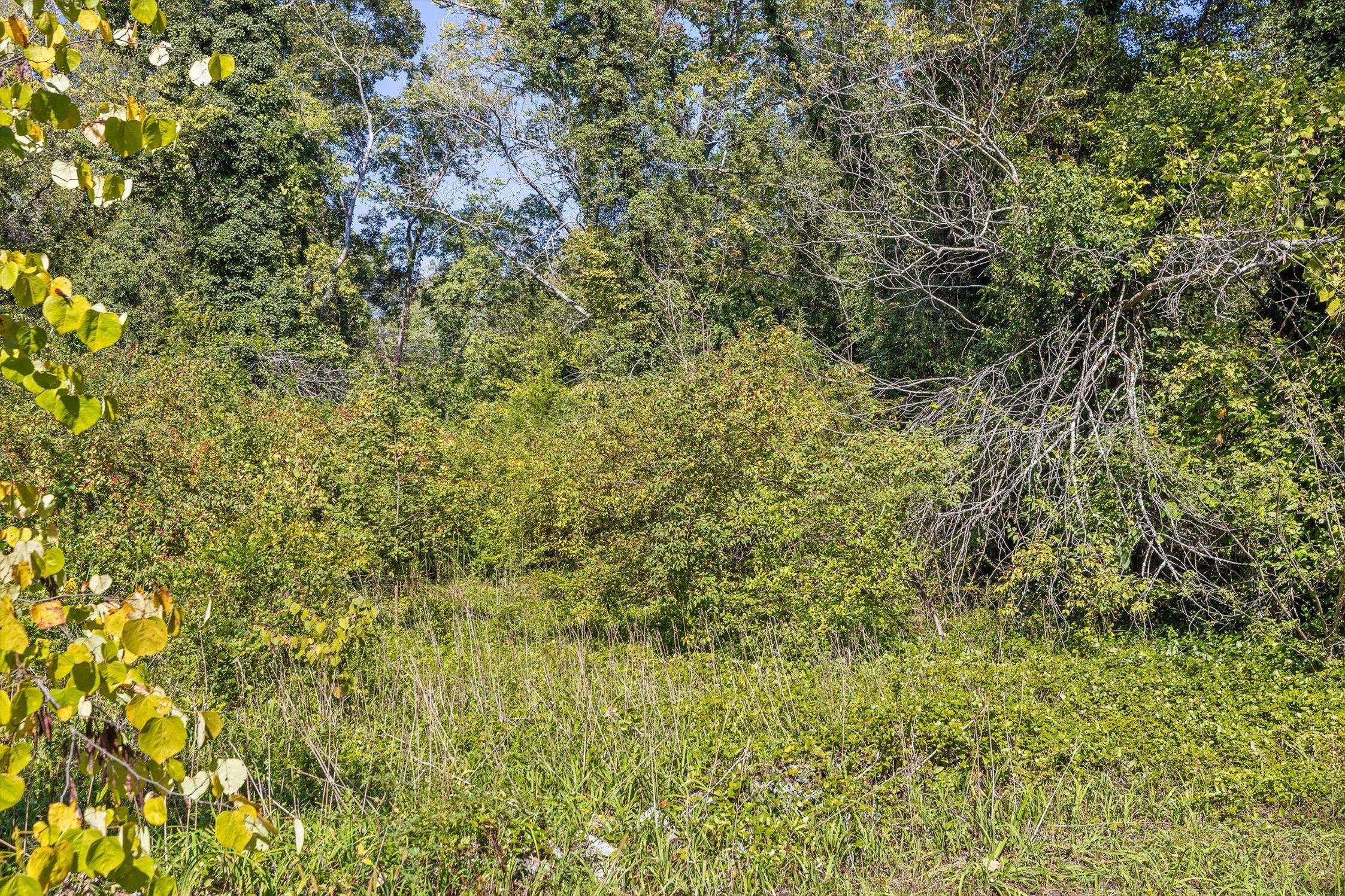 1212 Cinderella Road Lookout Mountain, GA 30750 - Photo 5 of 12 02-Cinderella-2
