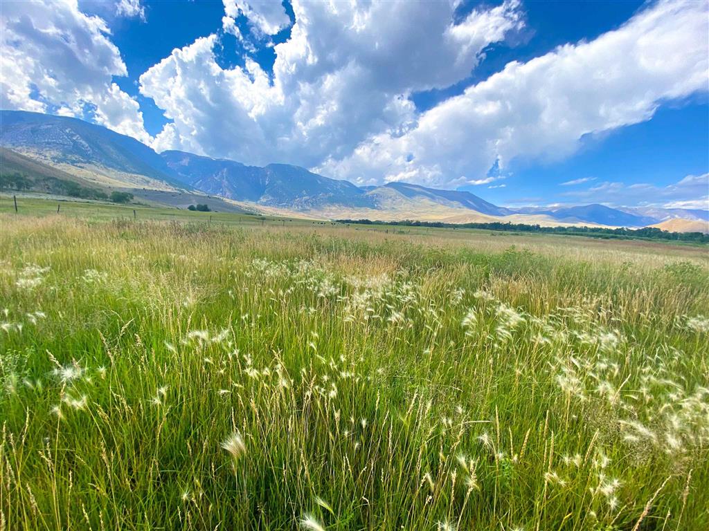 409 North Tolman Road Powell, WY 82435 - Photo 10 of 116 Gallery Image 10