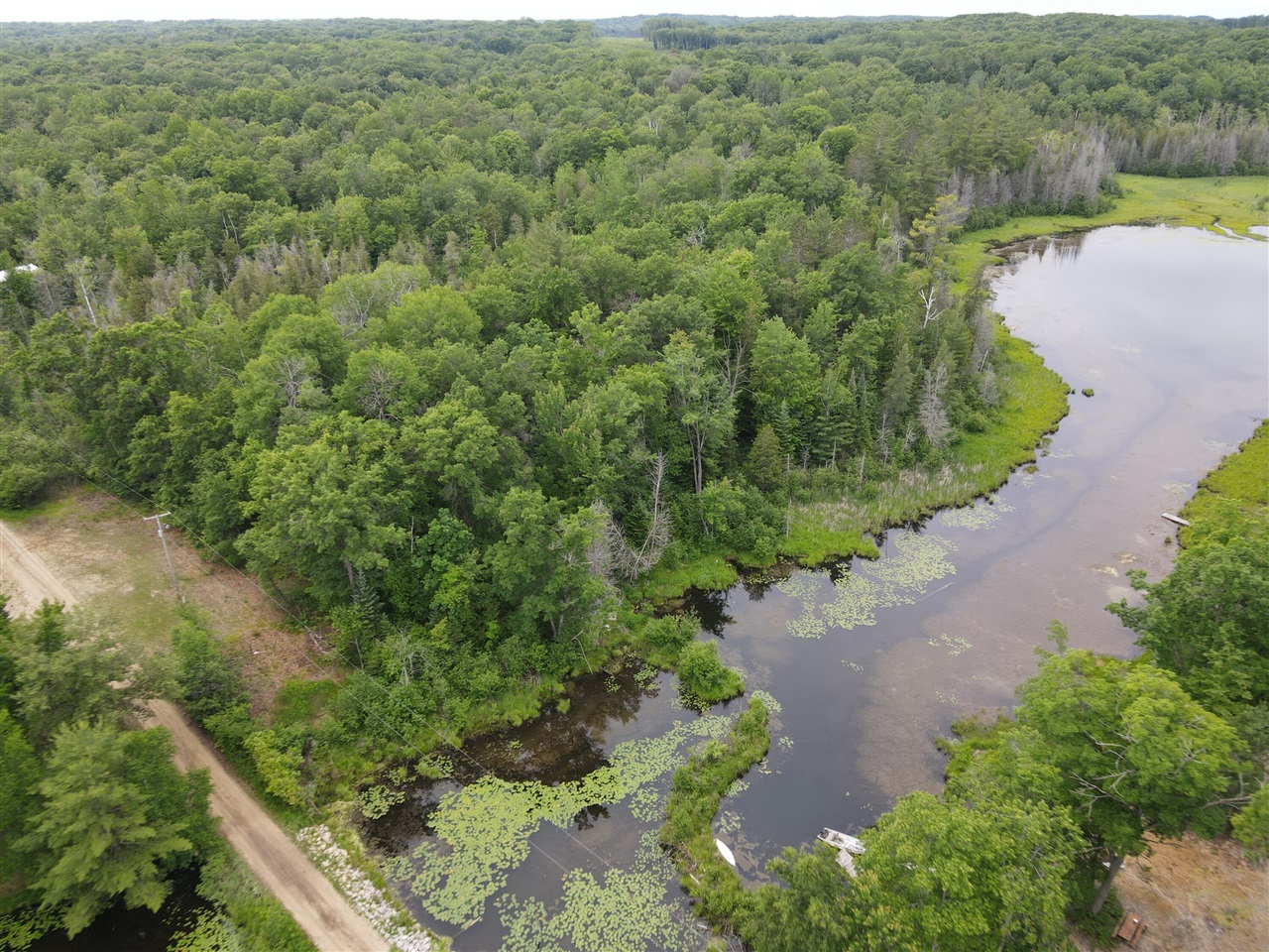 11401 Little George Lake Road Gladwin, MI 48624 - Photo 28 of 98