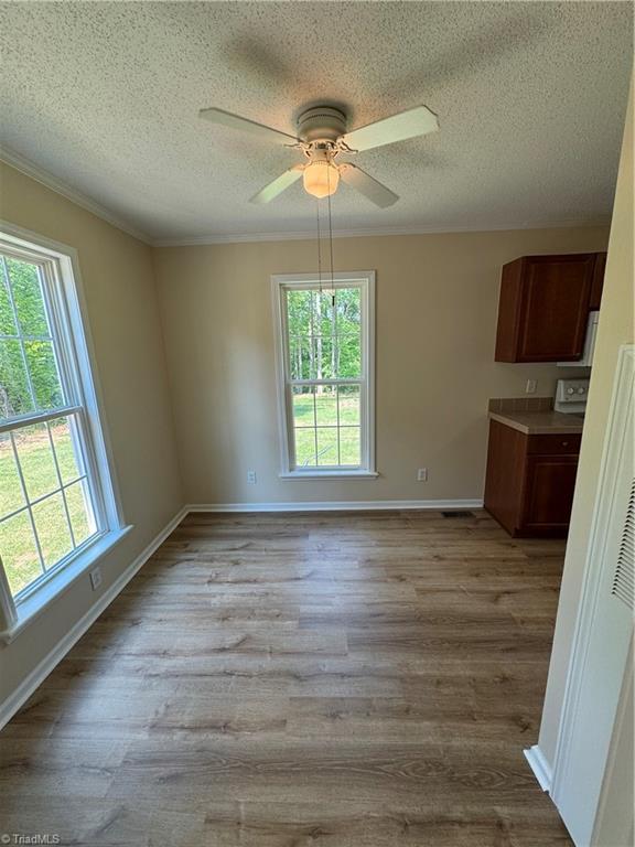 987 Eden Church Road Madison, NC 27025 - Photo 34 of 49