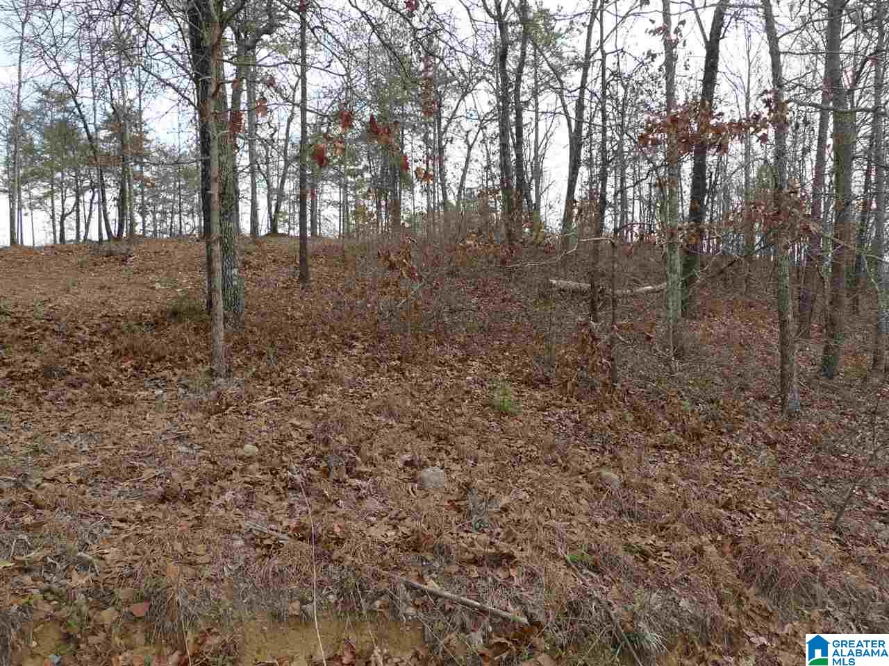 0 Chickadee Drive, Unit 1 Sterrett, AL 35147 - Photo 2 of 2