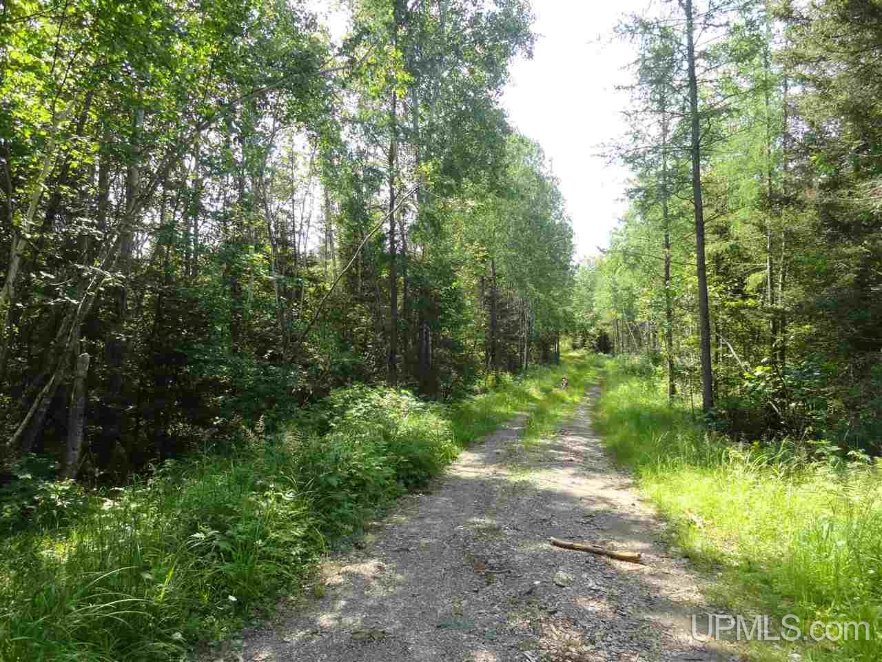8878 Co Road Republic, MI 49879 - Photo 8 of 34