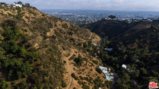 a view of a city with lush green forest
