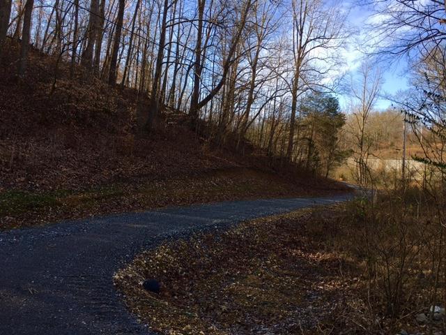 1124 Carr Creek Road Normandy, TN 37360 - Photo 5 of 21