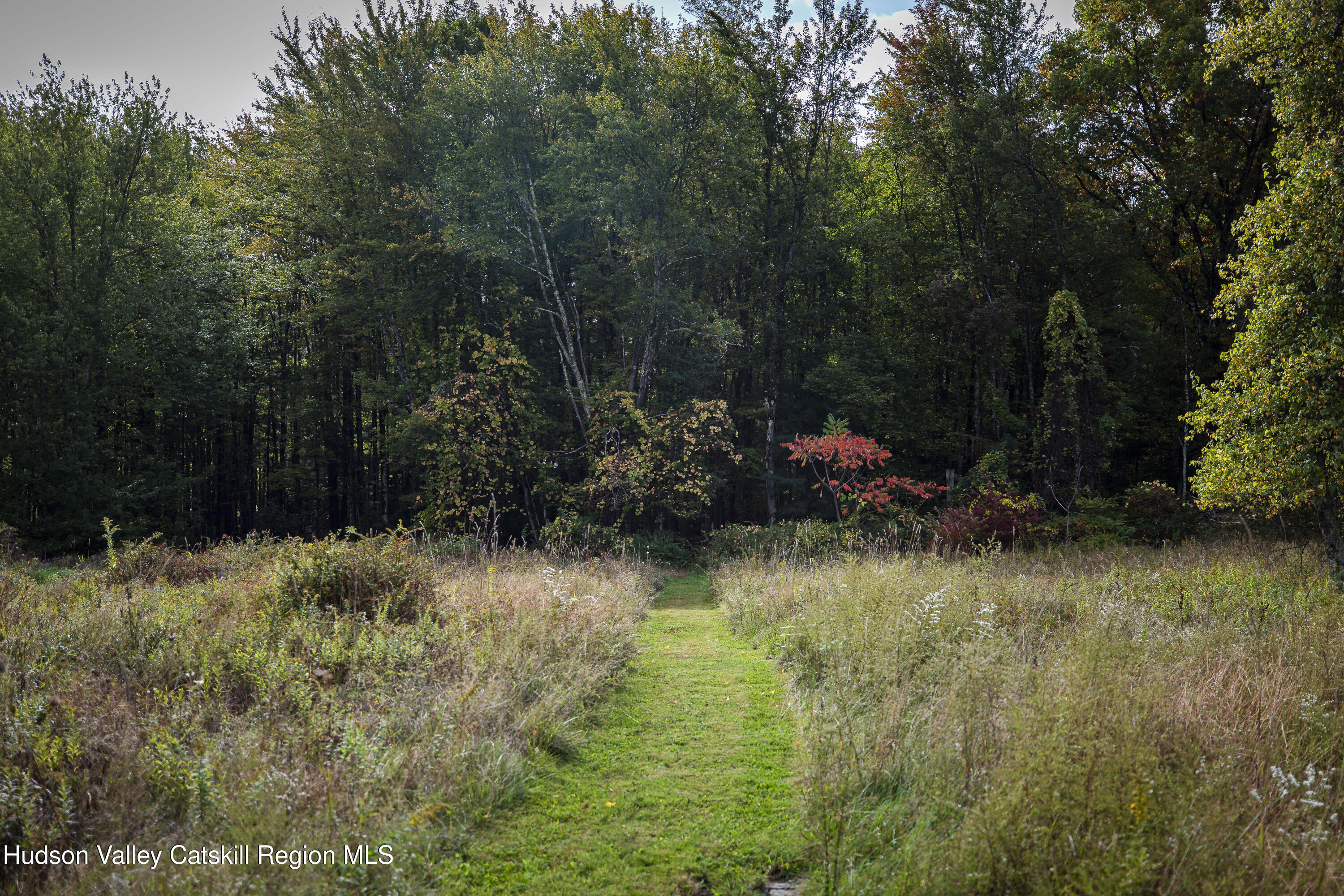 229 Lower Bone Hollow Road Accord, NY 12404 - Photo 42 of 49 41