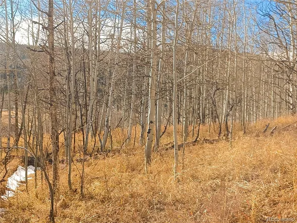 a bathroom with a shower curtain