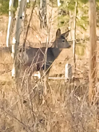 a picture of a bathroom