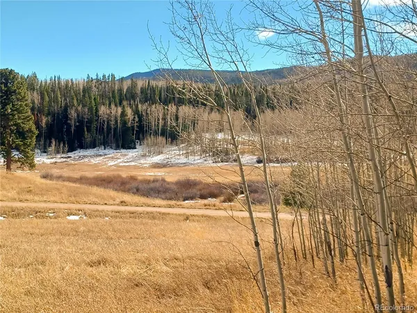 a view of a backyard of the house