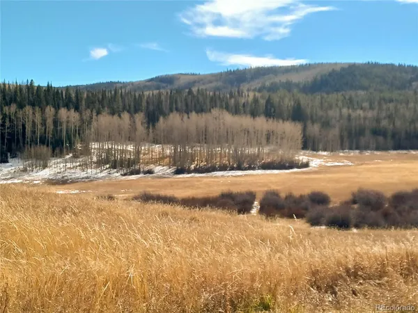 a view of large tree with wooden fence