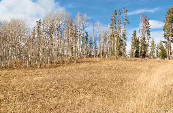 a view of snow on the side of a road