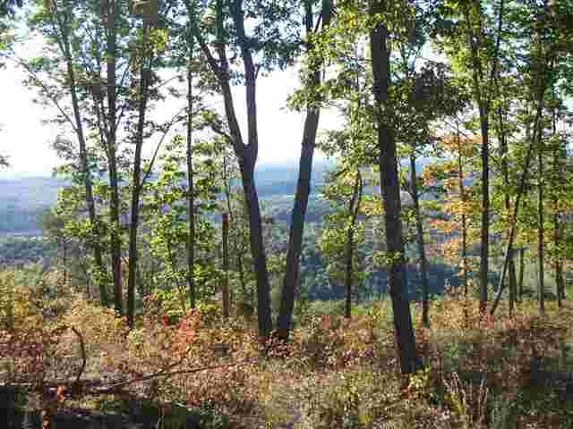 5.03-acres Highlander Road, Unit 5 03 ACRES Grandview, TN 37337 - Photo 7 of 10 6