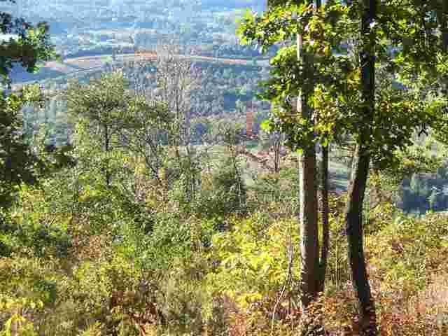 5.03-acres Highlander Road, Unit 5 03 ACRES Grandview, TN 37337 - Photo 8 of 10 7