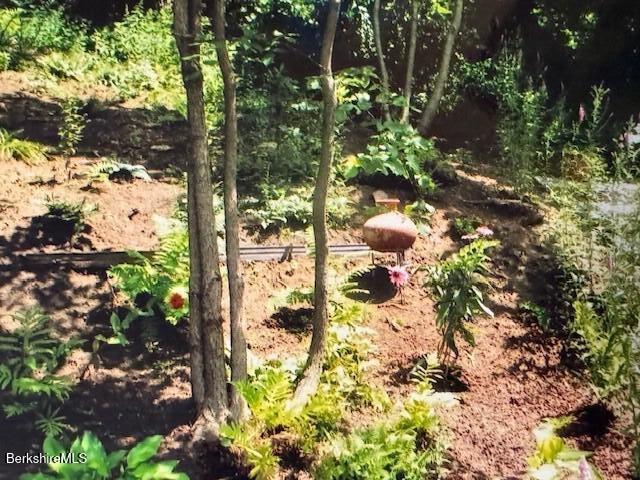 40 Prospect Hill Road Stockbridge, MA 01262 - Photo 43 of 50 gardens