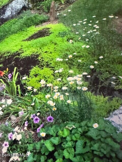 40 Prospect Hill Road Stockbridge, MA 01262 - Photo 49 of 50 gardens
