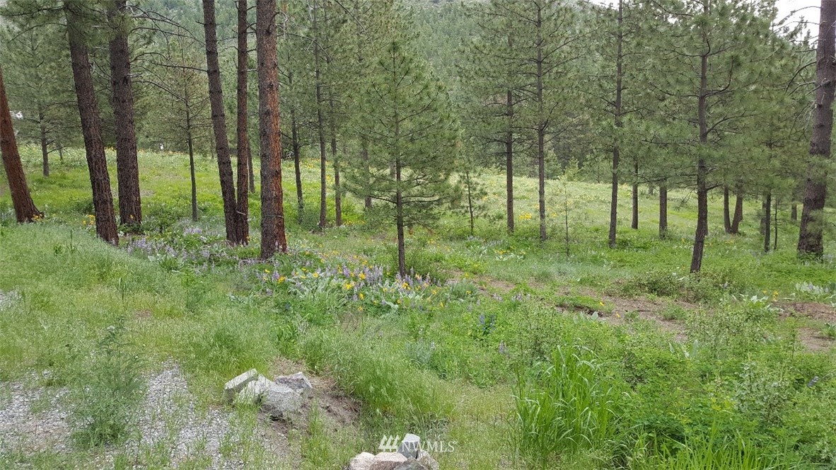 0 Echo Valley Road Manson, WA 98831 - Photo 1 of 19 Gallery Image 1
