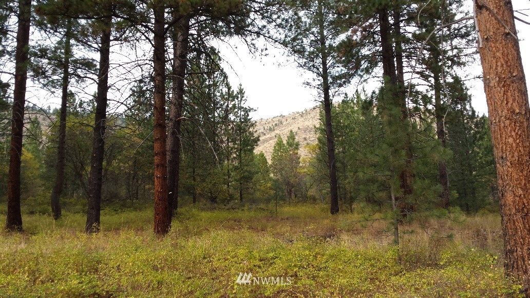 0 Echo Valley Road Manson, WA 98831 - Photo 2 of 19 Gallery Image 2