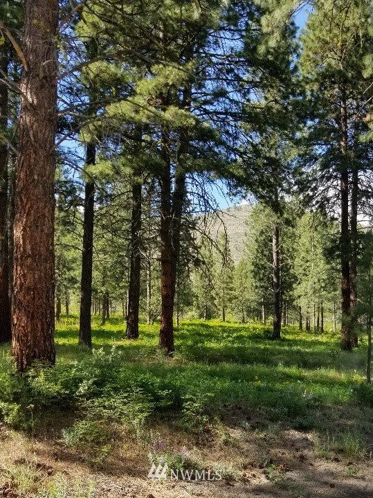 0 Echo Valley Road Manson, WA 98831 - Photo 11 of 19 Gallery Image 11