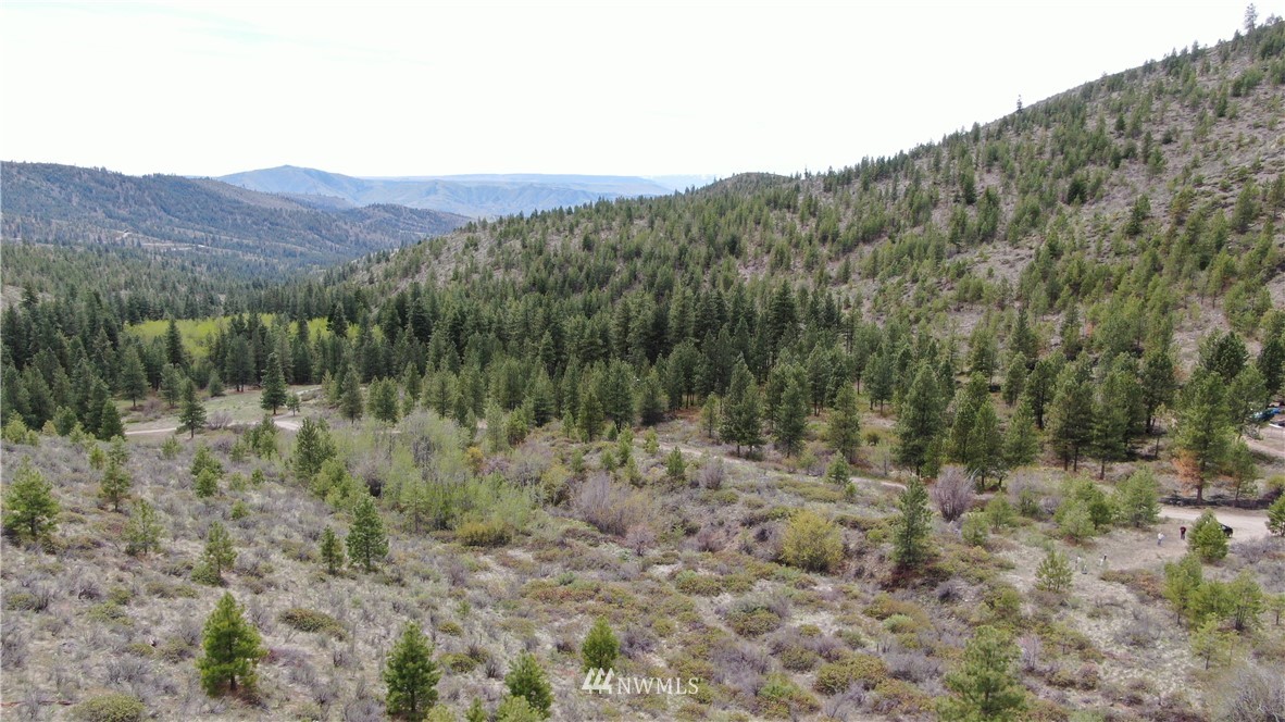 0 Echo Valley Road Manson, WA 98831 - Photo 13 of 19 Gallery Image 13