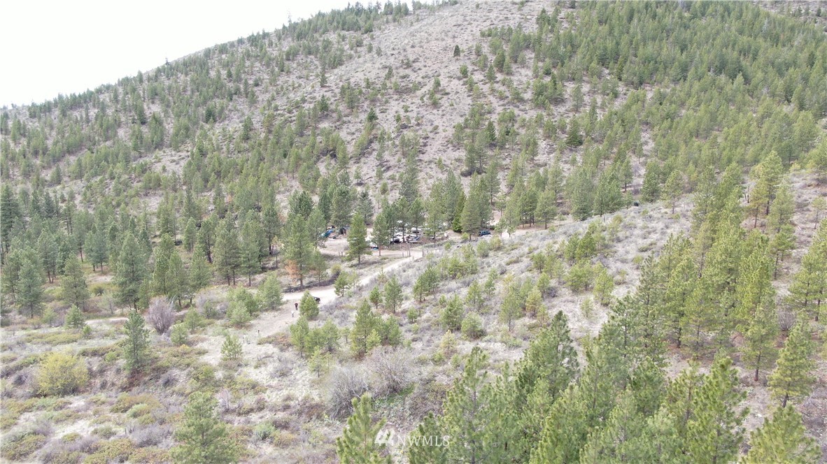 0 Echo Valley Road Manson, WA 98831 - Photo 14 of 19 Gallery Image 14