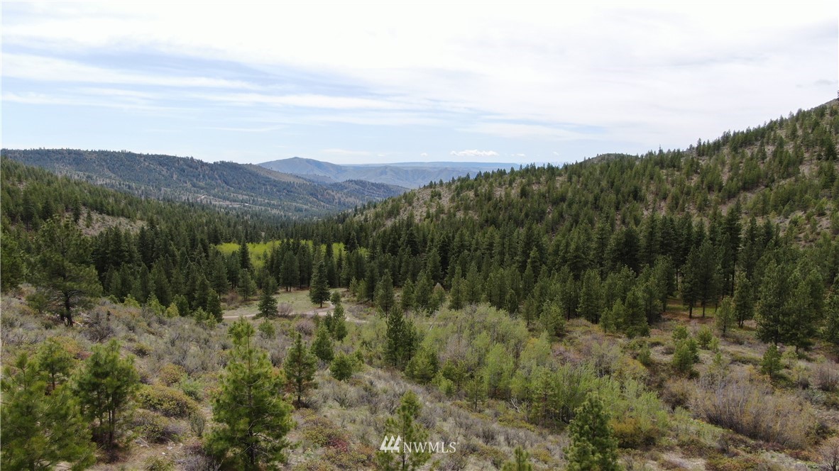 0 Echo Valley Road Manson, WA 98831 - Photo 15 of 19 Gallery Image 15