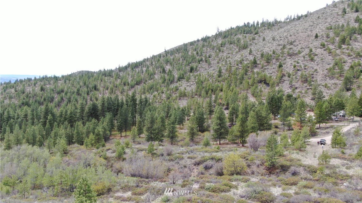 0 Echo Valley Road Manson, WA 98831 - Photo 16 of 19 Gallery Image 16
