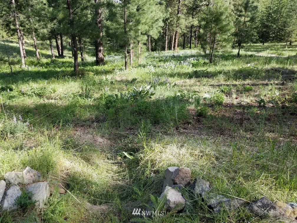 0 Echo Valley Road Manson, WA 98831 - Photo 6 of 19 Gallery Image 6