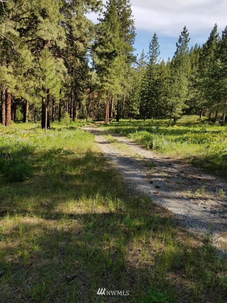 0 Echo Valley Road Manson, WA 98831 - Photo 9 of 19 Gallery Image 9