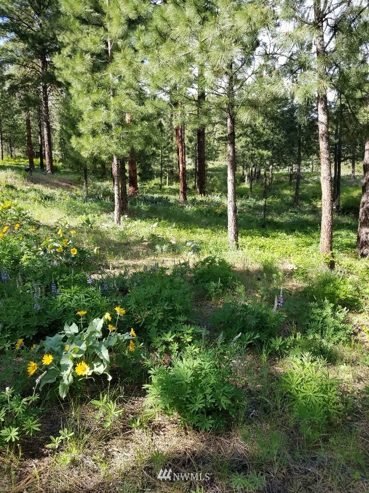 0 Echo Valley Road Manson, WA 98831 - Photo 10 of 19 Gallery Image 10