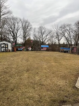 a view of yard with trees
