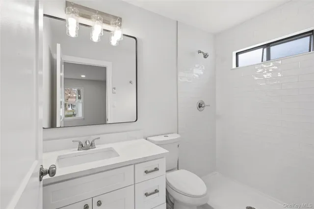 a bathroom with a toilet a sink a mirror a vanity and shower