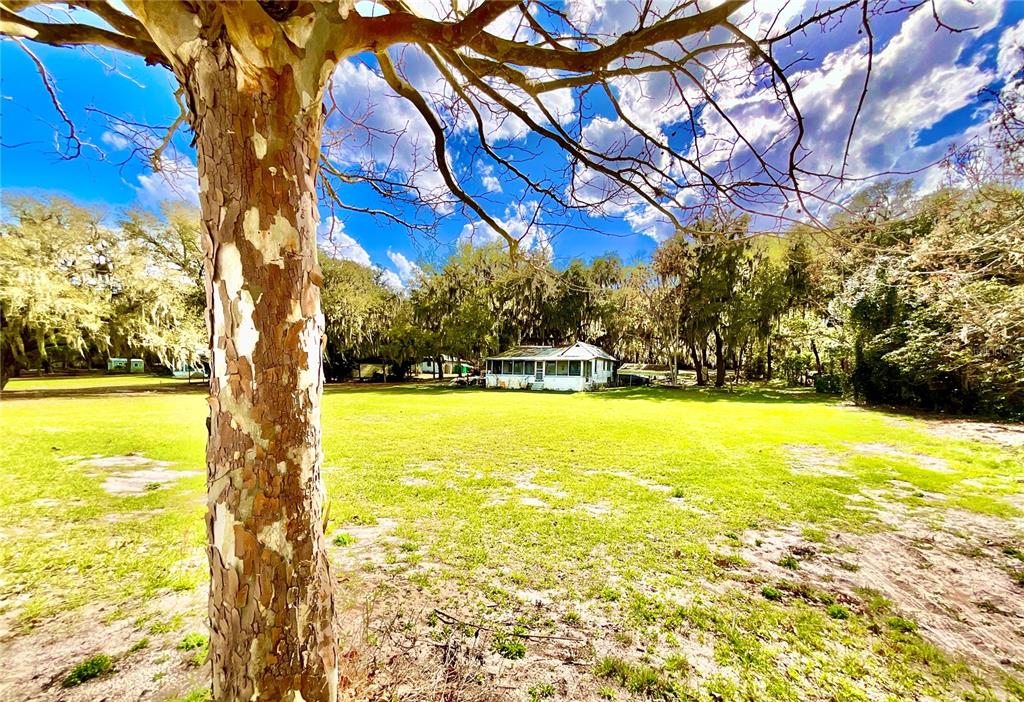 106 Sunny Side Beach Road Hawthorne, FL 32640 - Photo 52 of 54 a view of lake view