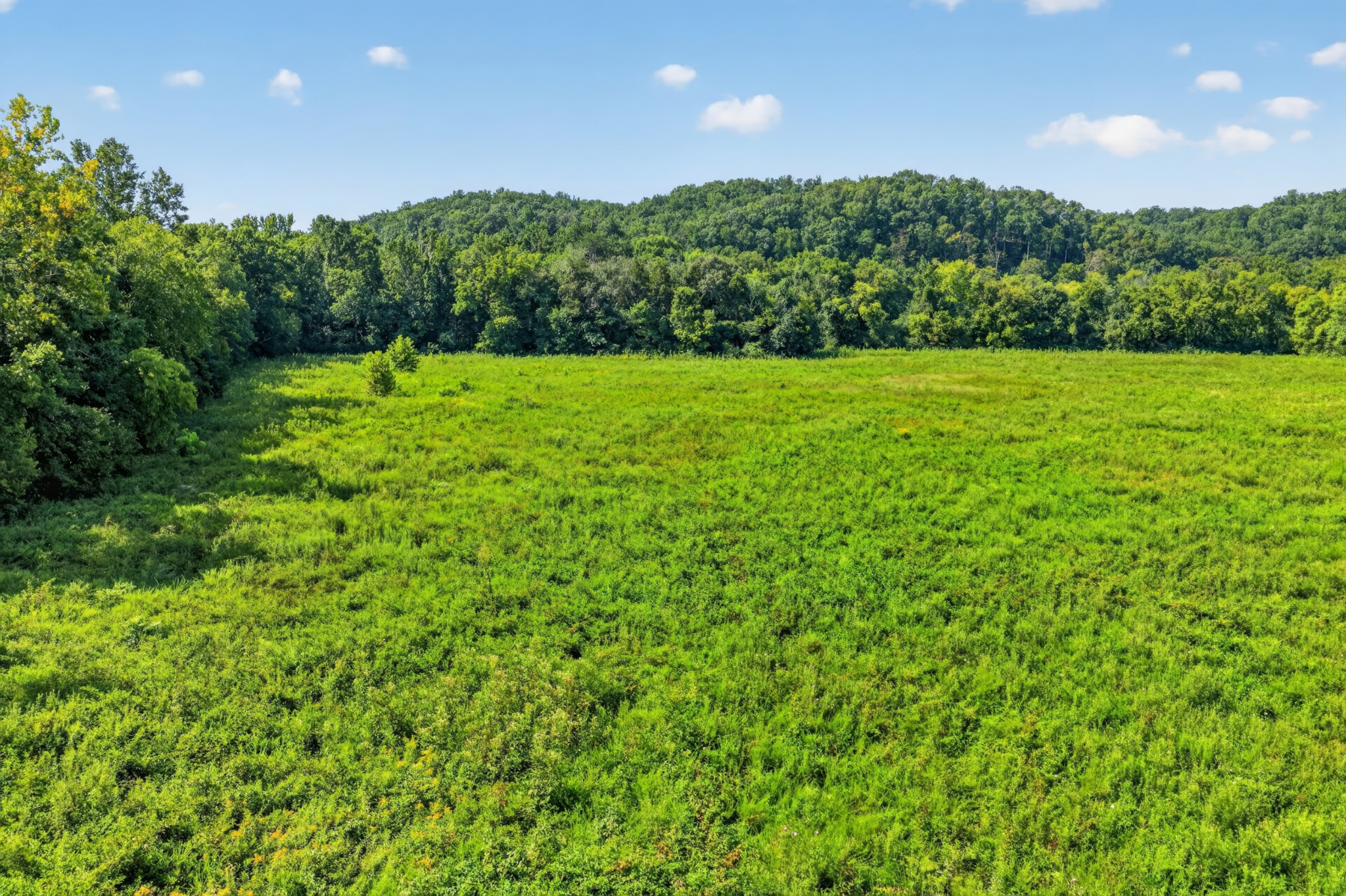 160 Backside Beaverdam Road Centerville, TN 37033 - Photo 31 of 41 Gallery Image 31