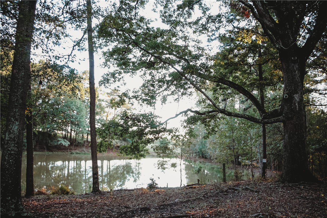 2199 Oakway Road Westminster, SC 29693 - Photo 22 of 30 Gallery Image 22