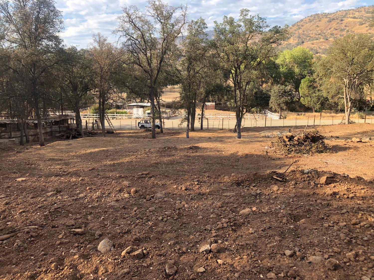 609 Squaw Valley Road Squaw Valley, CA 93675 - Photo 11 of 11 a view of a yard with a tree