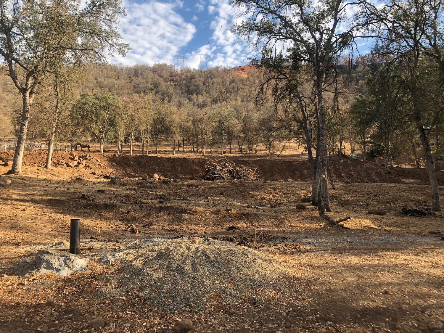 609 Squaw Valley Road Squaw Valley, CA 93675 - Photo 5 of 11 a view of a street with a tree