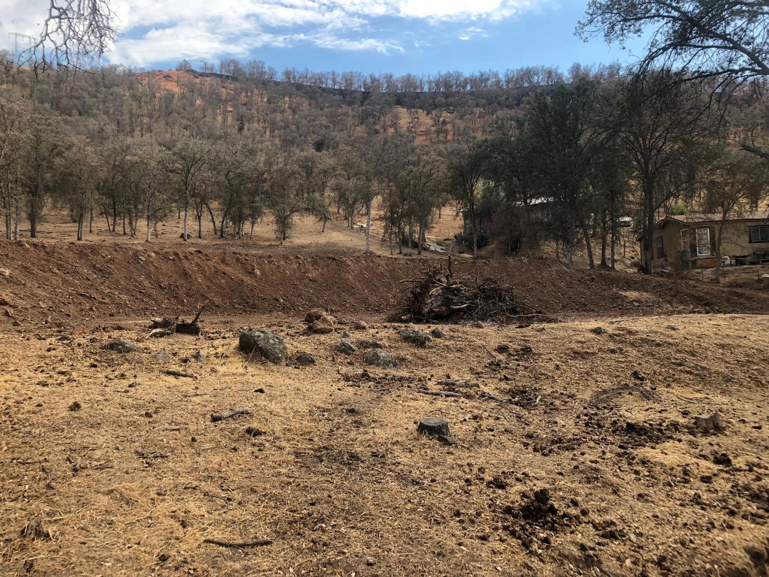 609 Squaw Valley Road Squaw Valley, CA 93675 - Photo 8 of 11 a view of a yard with a large tree