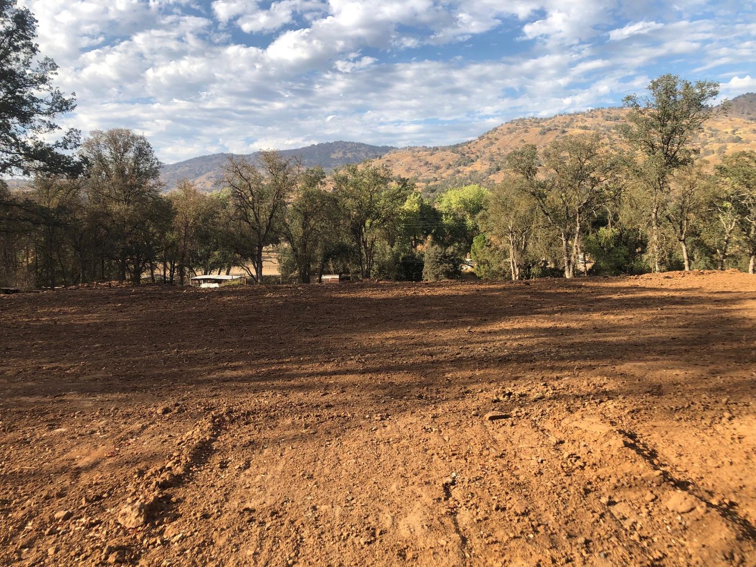 609 Squaw Valley Road Squaw Valley, CA 93675 - Photo 10 of 11 a view of a yard with a house