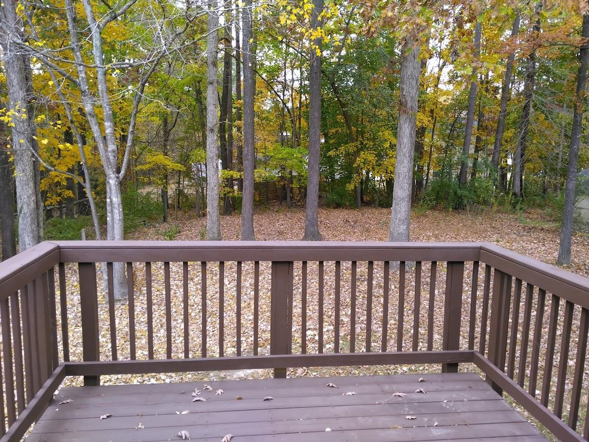 3220 Mango Drive Raleigh, NC 27610 - Photo 7 of 25 Deck off Formal DR