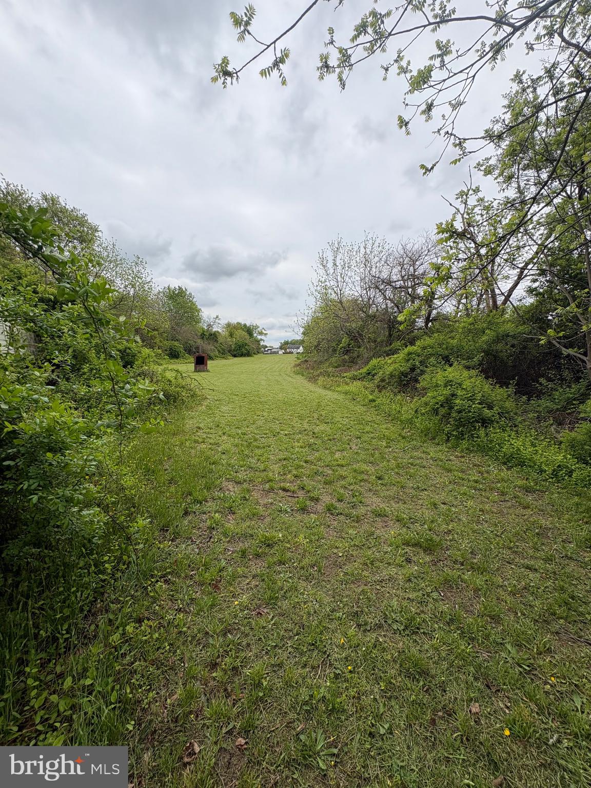 492 Highway 40 Elmer, NJ 08318 - Photo 28 of 30 a view of a big yard with lots of green space