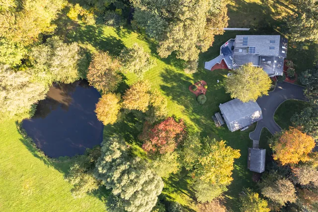 a picture of flowers